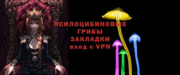 дурь Алексин