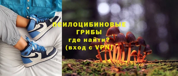 spice Арсеньев