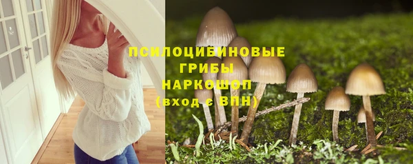 ALPHA PVP Алексеевка