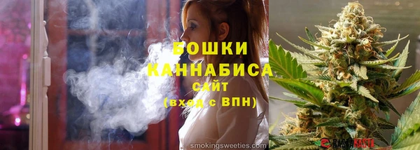 стафф Елизово